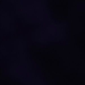 Meet your Posher, Will